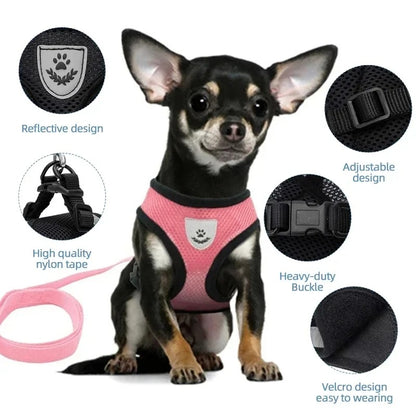 Adjustable Mesh Pet Harness with Leash, Polyester Vest Type Walking Strap for Small Medium Cats Dogs