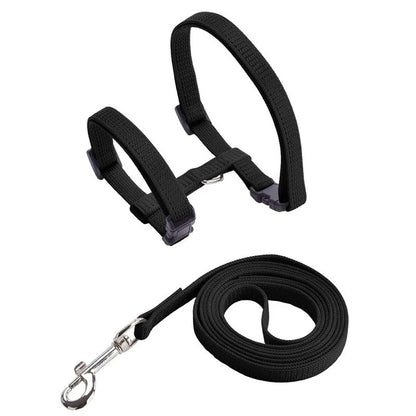 Adjustable Pet Cat Collar For Cats Cozy Nylon Rabbit Kitten Kedi Harness Leash Set Dog Cat Accessories Products For Pets